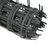 High Tensile Strength Steel-Plastic PP PE Geogrid for Construction Reinforcement